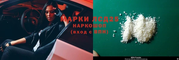 PSILOCYBIN Алзамай