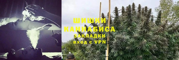 крисы Алексеевка