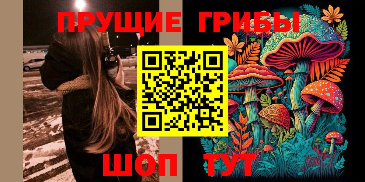 Псилоцибиновые грибы прущие грибы  Вход с VPN  Апрелевка  Галлюциногенные грибы Cubensis 